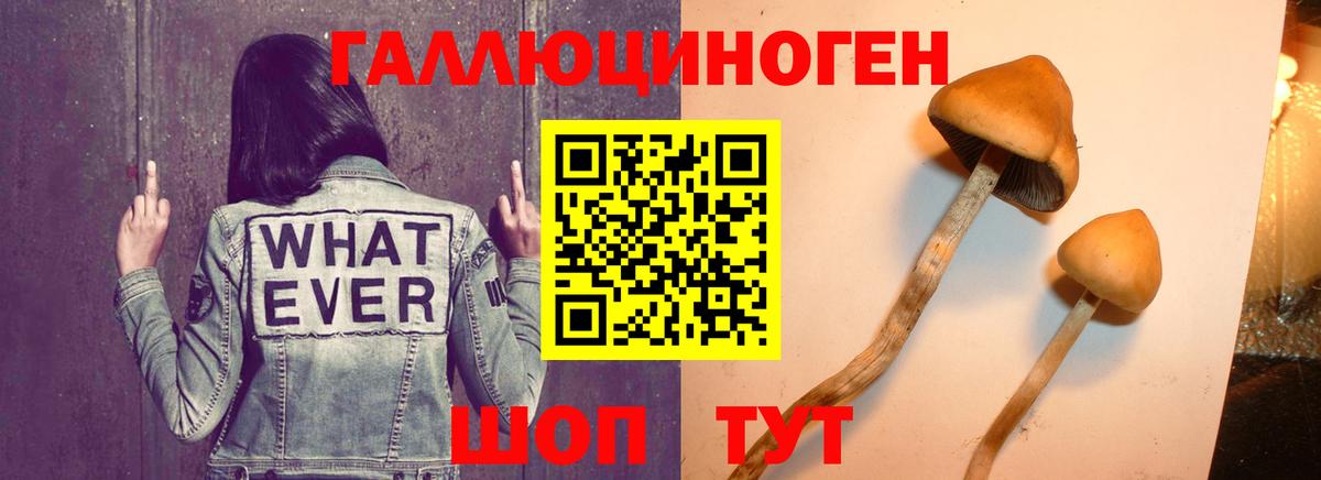 Бутурлиновка  Псилоцибиновые грибы мицелий  Вход с VPN  Псилоцибиновые грибы MAGIC MUSHROOMS 